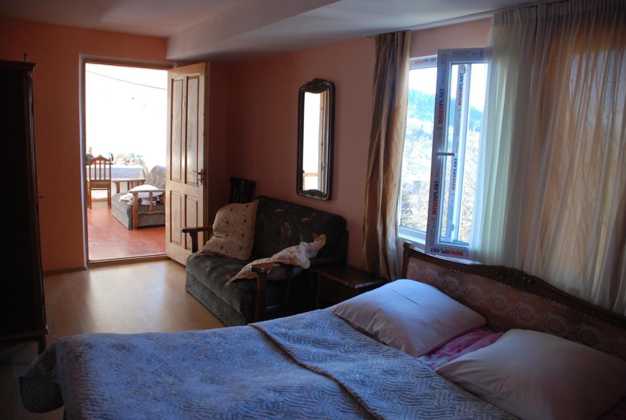 Dodo Japaridze Guesthouse Mestia Extérieur photo
